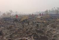 
Petugas terus berupaya melakukan penanganan karhutla di kawasan Petuk Katimpun, Palangka Raya, Rabu (19/8/2026). (Foto: Antara/M Arif Hidayat)