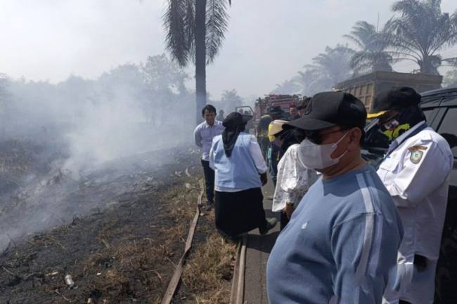 Bupati Kotim Halikinnor saat meninjau kondisi karhutla di Jalan Tjilik Riwut kilometer 7 Sampit-Palangka Raya, Rabu (20/8/2026). (Foto: Antara/Devita Maulina)