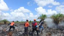 Personel Satgas Karhutla Kotim saat berjuang memadamkan kebakaran lahan belum lama ini. (Foto: HO-BPBD Kotim)