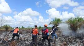 Personel Satgas Karhutla Kotim saat berjuang memadamkan kebakaran lahan belum lama ini. (Foto: HO-BPBD Kotim)