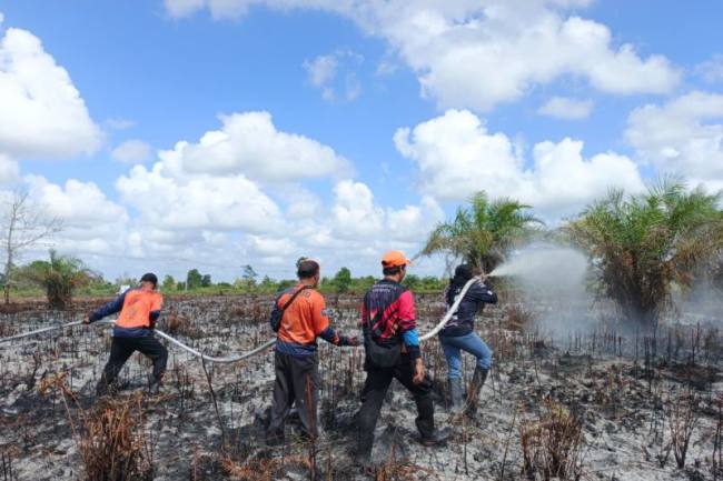 Personel Satgas Karhutla Kotim saat berjuang memadamkan kebakaran lahan belum lama ini. (Foto: HO-BPBD Kotim)