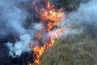 Karhutla melanda wilayah di Kalimantan. (Foto: Istimewa)