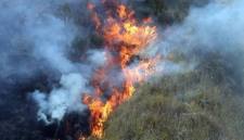 Karhutla melanda wilayah di Kalimantan. (Foto: Istimewa)