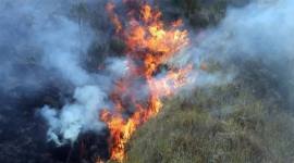 Karhutla melanda wilayah di Kalimantan. (Foto: Istimewa)