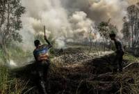 Petugas pemadam kebakaran Dinas Kehutanan Kalteng berusaha memadamkan api yang membakar lahan gambut di Kelurahan Bukit Tunggal, Palangka Raya, Kalimantan Tengah, Minggu (12/7/2026). (Foto: HO-Antara)