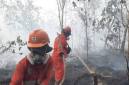 Petugas Badan Penanggulangan Bencana berusaha mematikan kobaran api kebakaran hutan dan lahan (karhutla) di wilayah Kalimantan. (Foto: HO-Bakom RI)