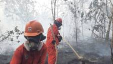 Petugas Badan Penanggulangan Bencana berusaha mematikan kobaran api kebakaran hutan dan lahan (karhutla) di wilayah Kalimantan. (Foto: HO-Bakom RI)
