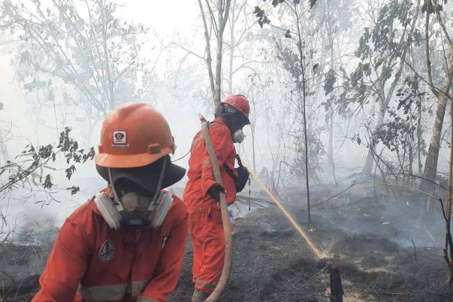 Petugas Badan Penanggulangan Bencana berusaha mematikan kobaran api kebakaran hutan dan lahan (karhutla) di wilayah Kalimantan. (Foto: HO-Bakom RI)