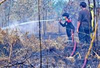 Satgas Darat memadamkan bara api di lahan gambut akibat kebakaran hutan dan lahan (karhutla) di Banjarbaru, Kalimantan Selatan, Senin (24/8/2026). (Foto: Antara)
