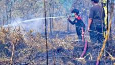 Satgas Darat memadamkan bara api di lahan gambut akibat kebakaran hutan dan lahan (karhutla) di Banjarbaru, Kalimantan Selatan, Senin (24/8/2026). (Foto: Antara)
