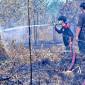 Satgas Darat memadamkan bara api di lahan gambut akibat kebakaran hutan dan lahan (karhutla) di Banjarbaru, Kalimantan Selatan, Senin (24/8/2026). (Foto: Antara)