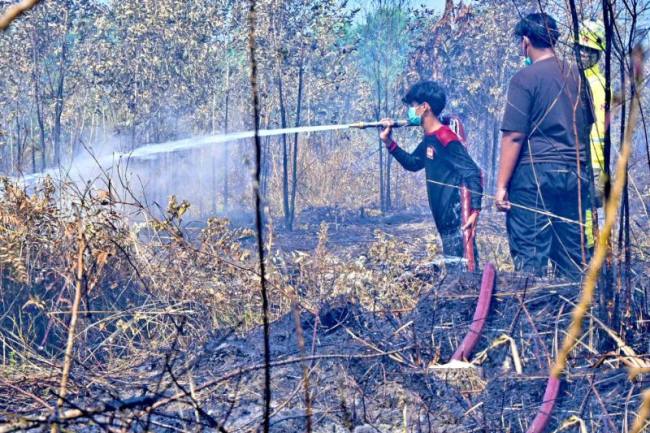 Satgas Darat memadamkan bara api di lahan gambut akibat kebakaran hutan dan lahan (karhutla) di Banjarbaru, Kalimantan Selatan, Senin (24/8/2026). (Foto: Antara)