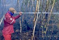 Satgas Darat memadamkan sisa bara api di lahan gambut di tengah kepungan kabut asap akibat kebakaran hutan dan lahan (karhutla) di kawasan Bandara Internasional Syamsudin Noor, Banjarbaru, Kalimantan Selatan, Senin (24/8/2026). (Foto: Antara)