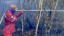 Satgas Darat memadamkan sisa bara api di lahan gambut di tengah kepungan kabut asap akibat kebakaran hutan dan lahan (karhutla) di kawasan Bandara Internasional Syamsudin Noor, Banjarbaru, Kalimantan Selatan, Senin (24/8/2026). (Foto: Antara)
