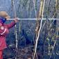 Satgas Darat memadamkan sisa bara api di lahan gambut di tengah kepungan kabut asap akibat kebakaran hutan dan lahan (karhutla) di kawasan Bandara Internasional Syamsudin Noor, Banjarbaru, Kalimantan Selatan, Senin (24/8/2026). (Foto: Antara)