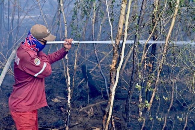 Satgas Darat memadamkan sisa bara api di lahan gambut di tengah kepungan kabut asap akibat kebakaran hutan dan lahan (karhutla) di kawasan Bandara Internasional Syamsudin Noor, Banjarbaru, Kalimantan Selatan, Senin (24/8/2026). (Foto: Antara)