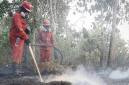 Sejumlah petugas berupaya memadamkan kebakaran hutan dan lahan di Kalimantan. (Foto: HO-Humas Bakom RI)