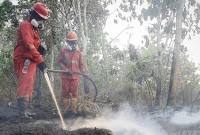 Sejumlah petugas berupaya memadamkan kebakaran hutan dan lahan di Kalimantan. (Foto: HO-Humas Bakom RI)