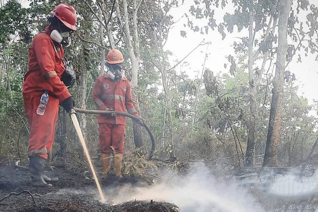 Sejumlah petugas berupaya memadamkan kebakaran hutan dan lahan di Kalimantan. (Foto: HO-Humas Bakom RI)