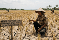 Foto Ilustrasi kekeringan hingga ancaman gagal panen. (Foto: SI/UT/@Gemini.Ai)