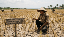 Foto Ilustrasi kekeringan hingga ancaman gagal panen. (Foto: SI/UT/@Gemini.Ai)