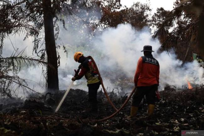 Petugas BPBD Kalbar memadamkan karhutla di Kecamatan Sungai Raya, Kabupaten Kubu Raya, Kalbar. (Foto: HO-Sucia Lucinda)