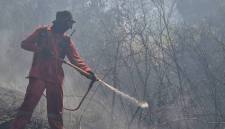 Petugas Manggala Agni memadamkan kebakaran hutan dan lahan (karhutla) di kawasan Taman Hutan Raya (Tahura) Sultan Adam di Kabupaten Banjar, Kalimantan Selatan, Rabu (5/8/2026). (Foto: HO-Dishut Kalsel)