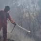 Petugas Manggala Agni memadamkan kebakaran hutan dan lahan (karhutla) di kawasan Taman Hutan Raya (Tahura) Sultan Adam di Kabupaten Banjar, Kalimantan Selatan, Rabu (5/8/2026). (Foto: HO-Dishut Kalsel)