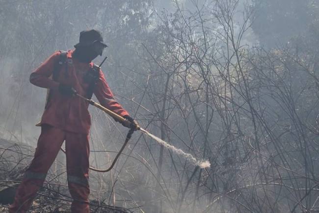 Petugas Manggala Agni memadamkan kebakaran hutan dan lahan (karhutla) di kawasan Taman Hutan Raya (Tahura) Sultan Adam di Kabupaten Banjar, Kalimantan Selatan, Rabu (5/8/2026). (Foto: HO-Dishut Kalsel)