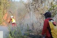 Petugas memadamkan titik kebakaran hutan dan lahan (karhutla) di kawasan Tahura Sultan Adam di Kabupaten Banjar, Kalimantan Selatan. (Foto: HO-Dishut Kalsel)