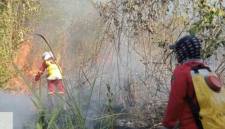 Petugas memadamkan titik kebakaran hutan dan lahan (karhutla) di kawasan Tahura Sultan Adam di Kabupaten Banjar, Kalimantan Selatan. (Foto: HO-Dishut Kalsel)