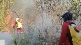 Petugas memadamkan titik kebakaran hutan dan lahan (karhutla) di kawasan Tahura Sultan Adam di Kabupaten Banjar, Kalimantan Selatan. (Foto: HO-Dishut Kalsel)
