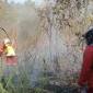Petugas memadamkan titik kebakaran hutan dan lahan (karhutla) di kawasan Tahura Sultan Adam di Kabupaten Banjar, Kalimantan Selatan. (Foto: HO-Dishut Kalsel)