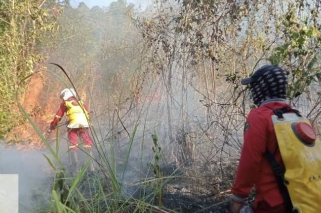 Petugas memadamkan titik kebakaran hutan dan lahan (karhutla) di kawasan Tahura Sultan Adam di Kabupaten Banjar, Kalimantan Selatan. (Foto: HO-Dishut Kalsel)