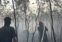 Petugas Dishut Kalsel melakukan pendinginan usai memadamkan titik kebakaran hutan dan lahan (karhutla) agar tidak meluas ke kawasan hutan lindung di Banjarbaru, Kalimantan Selatan. (Foto: HO-Dishut Kalsel)