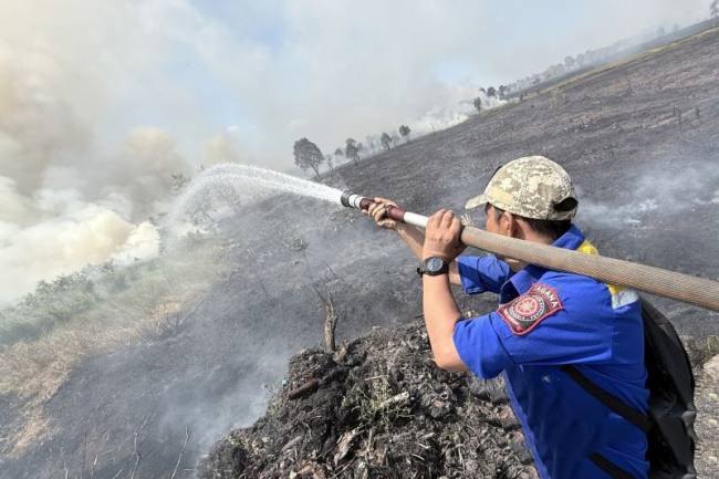Personel Tagana dari Dinsos Kalsel memadamkan titik kebakaran hutan dan lahan (karhutla) di Banjarbaru, Kalimantan Selatan, beberapa waktu lalu. (Foto: Antara/Tumpal Andani A)