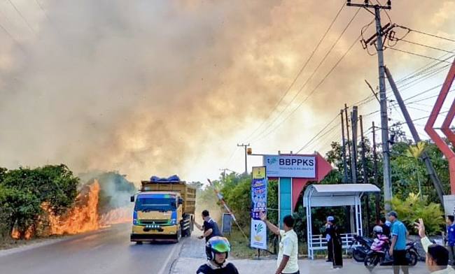 Sejumlah orang menyaksikan karhutla merembet ke halaman kawasan Sekolah Rakyat Terpadu (SRT) 9 Banjarbaru, Kalimantan Selatan, Jumat (21/8/2026). (Foto: Istimewa)
