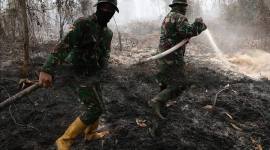 Personel Yonif TP 882/Hulubalang melakukan pembasahan untuk mencegah api kembali menyala di lokasi kebakaran lahan gambut di Desa Arang Limbung, Kecamatan Sungai Raya, Kabupaten Kubu Raya, Kalimantan Barat, Minggu (23/8/2026). (Foto: Antara/Jessica Wuysang)