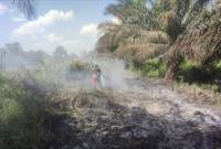 Upaya pemadaman di Desa Sungai Tendang, Kecamatan Kumai, Kobar, Kalteng. (Foto: Istimewa)