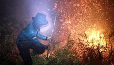 Petugas dari Dinas Kehutanan Kalteng berupaya memadamkan kebakaran di Kelurahan Menteng, Palangka Raya, Kalimantan Tengah, Kamis (27/8/2026). (Foto: Antara Kalteng/Auliya Rahman)