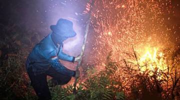 Petugas dari Dinas Kehutanan Kalteng berupaya memadamkan kebakaran di Kelurahan Menteng, Palangka Raya, Kalimantan Tengah, Kamis (27/8/2026). (Foto: Antara Kalteng/Auliya Rahman)