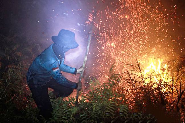 
Petugas dari Dinas Kehutanan Kalteng berupaya memadamkan kebakaran di Kelurahan Menteng, Palangka Raya, Kalimantan Tengah, Kamis (27/8/2026). (Foto: Antara Kalteng/Auliya Rahman)