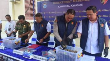 Penyelundupan sisik Trenggiling Jaringan Internasional, dibongkar Kepolisian Daerah Kalimantan Selatan (Polda Kalsel) melalui Direktorat Reserse Kriminal Khusus (Ditreskrimsus). (SuarIndonesia/Ist)