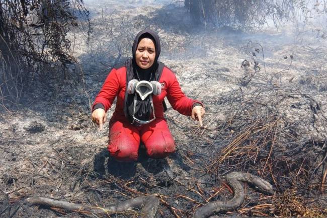 Tim Manggala Agni menemukan bangkai ular yang terbakar pada lahan terdampak Karhutla di Kecamatan Muara Pawan, Kabupaten Ketapang, Jumat (21/8/2026). (Foto: HO-Manggala Agni)