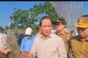 Wakil Menteri Koordinator Bidang Pangan, Hanif Faisol Nurofiq,