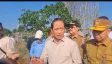 Wakil Menteri Koordinator Bidang Pangan, Hanif Faisol Nurofiq,