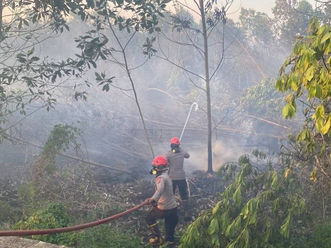 Sisi Jalan Syamsudin Noor akses menuju Bandara gosong akibat kebakaran. Gubernur Kalsel, H. Muhidin, memimpin langsung pembasahan, Jumat (28/8/2026) (SuarIndonesia/Ist)