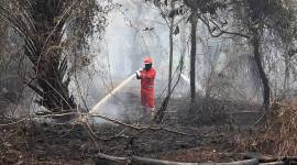 Personel Manggala Agni Daops Kalimantan VIII/Pontianak melakukan pembasahan untuk mencegah api kembali menyala di lahan gambut yang terbakar di Sekunder C, Rasau Jaya 3, Kabupaten Kubu Raya, Kalimantan Barat, Kamis (27/8/2026). (Foto: Antara/Jessica Wuysang)