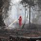 Personel Manggala Agni Daops Kalimantan VIII/Pontianak melakukan pembasahan untuk mencegah api kembali menyala di lahan gambut yang terbakar di Sekunder C, Rasau Jaya 3, Kabupaten Kubu Raya, Kalimantan Barat, Kamis (27/8/2026). (Foto: Antara/Jessica Wuysang)