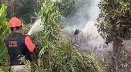 Petugas BPBD Kalbar berjibaku memadamkan karhutla di Kecamatan Sungai Raya, Kabupaten Kubu Raya beberapa waktu lalu. (Foto: Antara/HO-Jessica Helena W)